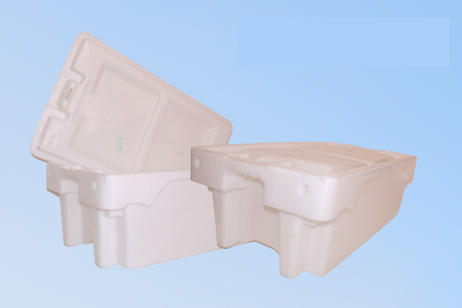 Fish Box 48L
